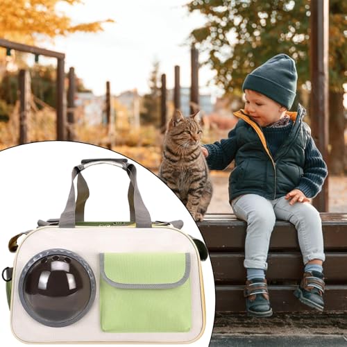 Sac de transport pour chat et chaton | Modèle rigide antichoc