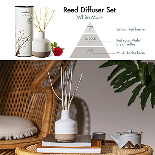 Homelights Reed Diffuser For Home, Natural Sticks Aromatherapy Oil Set, Ceramic Bottle, White Musk Fragrance Decorative Aromatherapy Diffuser, 150Ml/5.12 Fl.oz #TOP2