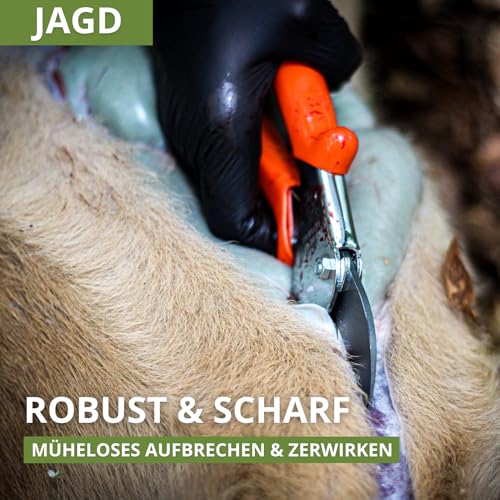 Original LÖWE Jagdschere 1.117 - Schneiden statt Sägen - Robuste Amboss-Schere zum Aufbrechen & Zerwirken von Fleisch und Knochen - ideal für Jäger und Förster