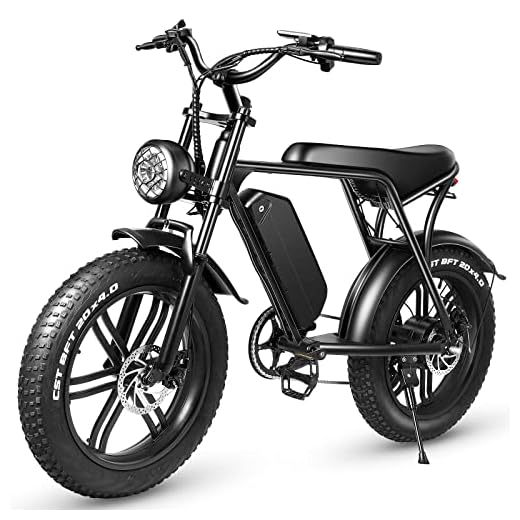 Electric Bike,750W Motor Electric Bike for Adults,20"×4" Fat Tire Mountain Ebike,48v 15AH Removable Battery,28MPH & 38Miles Long Range,E Bikes for Adults Shimano 7 Speed for Outdoor Cycling (Black)