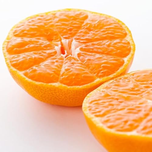 ÂƎ_̂Ïk Q݂ 󂠂  10kg(5kg×2) S`2S QY Ƃ΂񂩂rbW