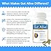 Gut Alive - All Natural Support to Fight IBS, Heartburn, Acid Indigestion, Acid Reflux, Bloating & Gas. Unique Formulation (60 Count (Pack of 1))