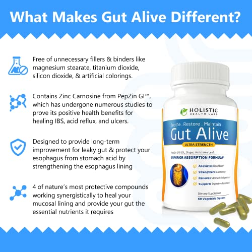 Image of Holistic Health Labs Gut Alive - All Natural Support to Fight IBS, Heartburn, Acid Indigestion, Acid Reflux, Bloating & Gas. Unique Formulation (60 Count (Pack of 2))