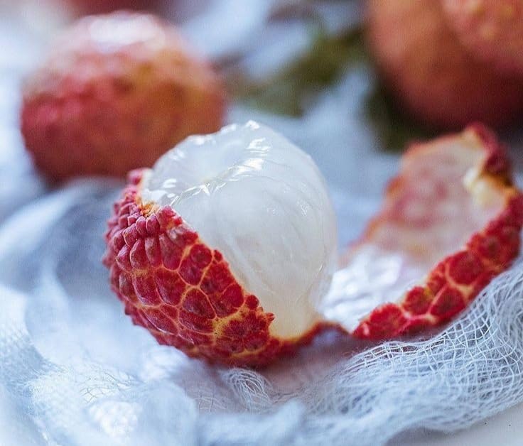 See full amazon price history chart for GARDENOPOLIS - Exotic Mauritius Litchi/Lychee Plant - Big Size Healthy Green Plant - About 3 to 4 Feet Height - Shipped in Safe & Secured Packaging (Exotic Mauritius Litchi Plant) GARDENOPOLIS - Exotic Mauritius Litchi/Lychee Plant - Big Size Healthy Green Plant - About 3 to 4 Feet Height - Shipped in Safe & Secured Packaging (Exotic Mauritius Litchi Plant) (B0CD4CP16P) Amazon Price History, Amazon Price Tracker