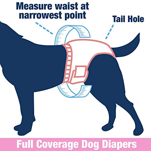 Four Paws Wee-Wee Male Dog Wraps, Disposable, X-Small/Small 12 Count, 4 Pack #TOP3