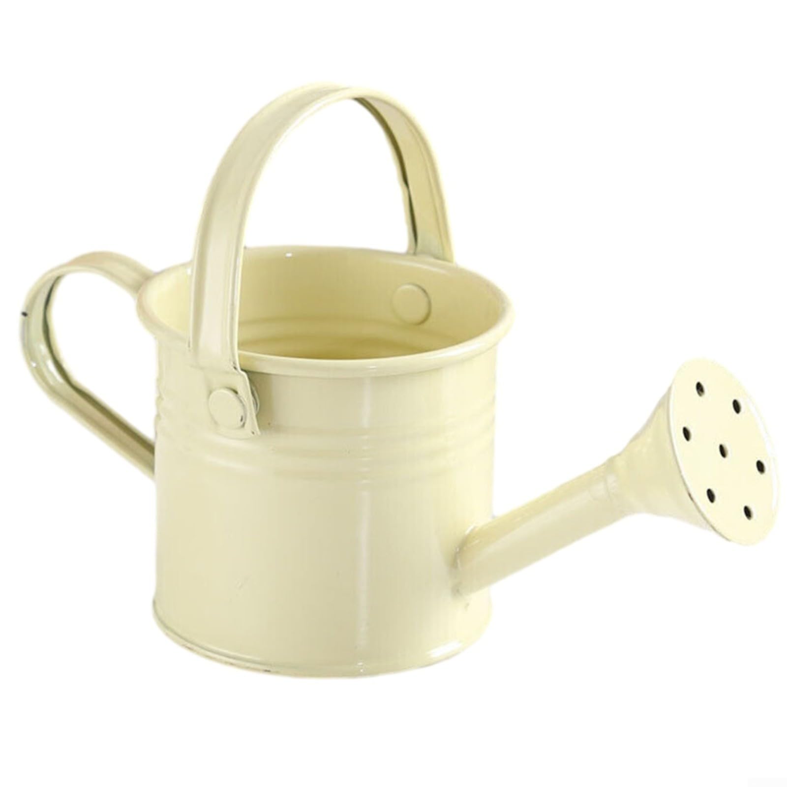 Metal Watering Can with Large Capacity, Small Kettle Flower Pot Kettle, Perfect for Plants, Stable & Leak Proof(Beiges)