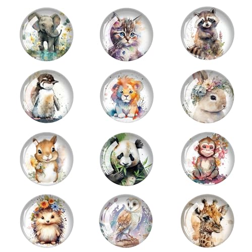 Diyxisk Magnete K&uuml;hlschrank, 12 St&uuml;cke Verschiedene Muster K&uuml;hlschrankmagnete, 3mm Niedlich Magnet K&uuml;hlschrank, f&uuml;r Magnettafeln, K&uuml;hlschr&auml;nke, Klimaanlagen, Waschmaschinen, Whiteboards (Tier)