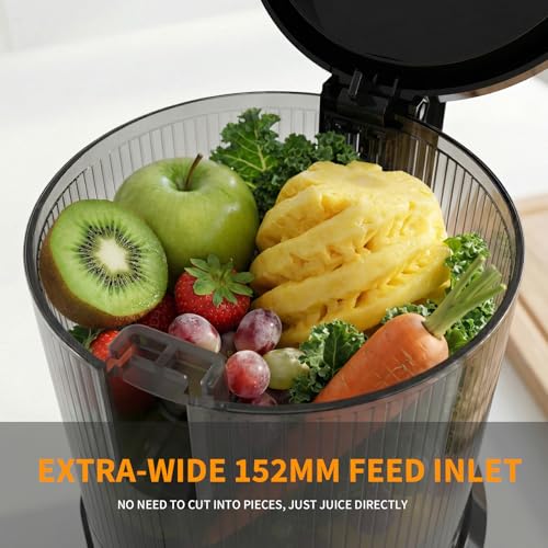 Commercial Juice Extractor Cold Press