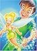 500 piece Peter Pan and Tinker Bell D-500-337 (japan import)