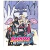 Boruto - Naruto the Movie (DVD)