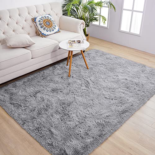 Chicrug Soft Fluffy Area Rugs Plush Rug for Living Room Bedroom 3x5 Feet, Shag Furry Area Rug Carpet Non Shedding for Nursery Children Kids Girls Room Home Decorative, Grey