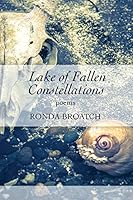 Lake of Fallen Constellations 1936657163 Book Cover