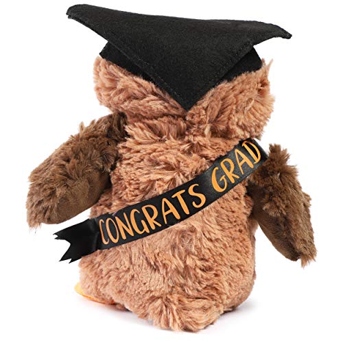 Blue Panda Owl Graduation Stuffed Animal With Glasses And Grad Cap For 2023 Graduates (9.2 In) #TOP5