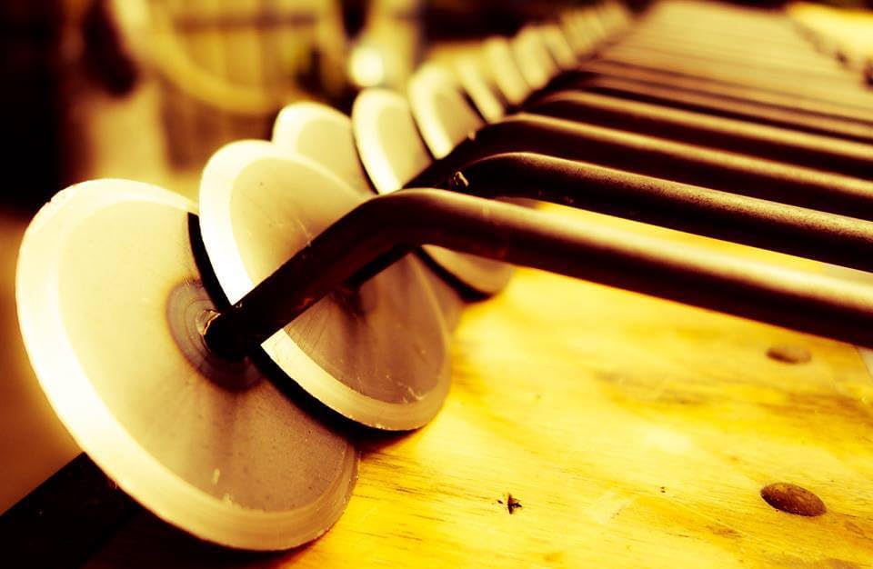 Miniatura 4 de DeWit - Desbrozadora de discos de jardín con mango mediano