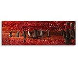 Zoom IMG-1 bestforhome gmbh fotografia paesaggistica foresta Zoom IMG-1 bestforhome gmbh fotografia paesaggistica foresta