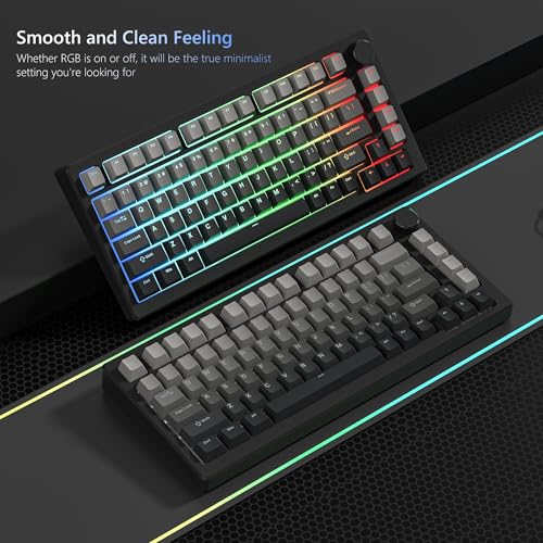Image of Womier Shine Through PBT Keycaps 60 75 100 Percent Cherry Profile | Custom Keycap Doubleshot Keycaps Set, Universal Compatiability for Cherry Gateron MX Switches Keyboard, Gradient Gray