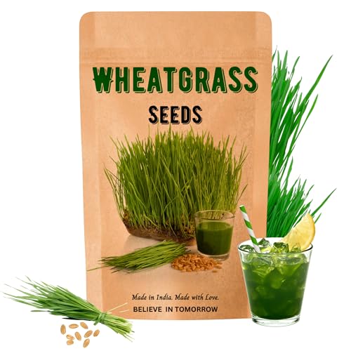 Image of Wheatgrass Seeds 800g | Organic, Non-GMO, Fast Growing Seeds for Juice, Detox, Microgreens & Pets | Cat-Friendly | High Nutrition Green Superfood | Easy to Grow at Home | Free Growing Guide Included
