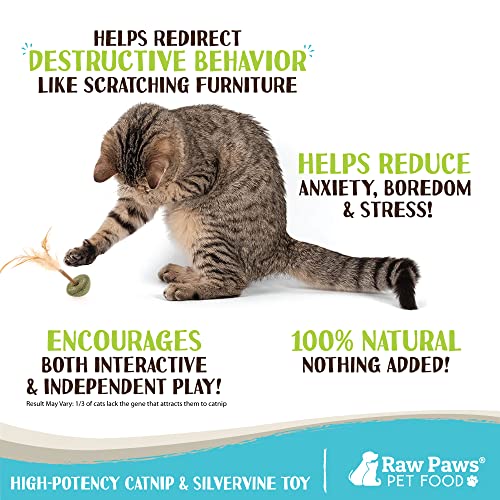 Raw Paws Catnip Lolli-Pops For Cats + Feathers, 3 Ct - Cat Feather Toys For Indoor Cats - Interactive Cat Toys With Feathers - Cat Kicker Toy Catnip Toys For Cats, Silvervine For Cats With Catnip Ball #TOP2