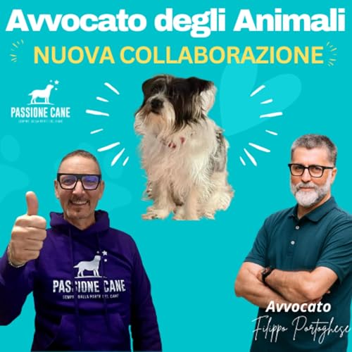 Ep.44 AVVOCATO DEGLI ANIMALI: NUOVA COLLABORAZIONE con l'Avv. Filippo Portoghese