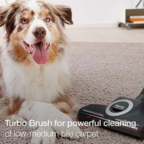 Miele Blizzard Cx1 Turbo Team Bagless Canister Vacuum, Tech Blue - Portable, Household #TOP2