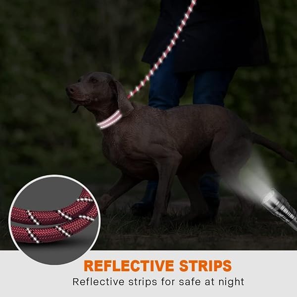 Taglory Guinzaglio per Cani, Strong Dog guinzaglio con Comoda Impugnatura Imbottita e Altamente Riflettente Fili per Cani di Taglia Media e Grande, Lungo 1,5 m, Rosa - 5
