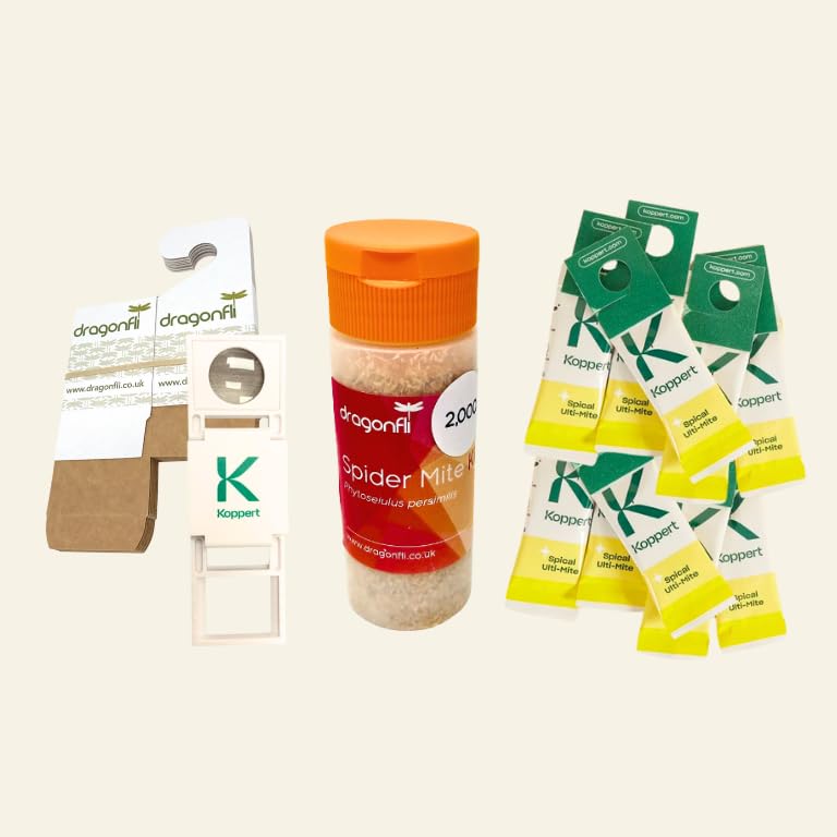 Dragonfli Spider Mite Killer Bundle: 10 Californicus Sachets, 2,000 Phytoseiulus Predators, 10 Distribution Boxes + Free Hand Lens - The Complete Natural Protection Against Spider Mite
