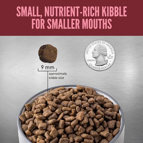 ORIJEN Grain Free High Protein Dry Dog Food Small Breed Recipe 4lb Bag - Image 6