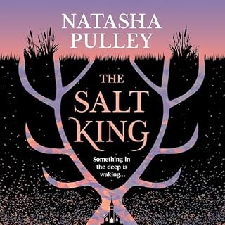 The Salt King cover art