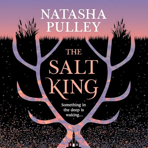 『The Salt King』のカバーアート