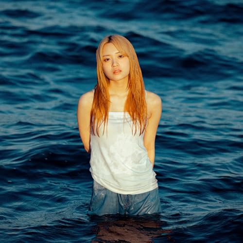 決意表明の商品画像