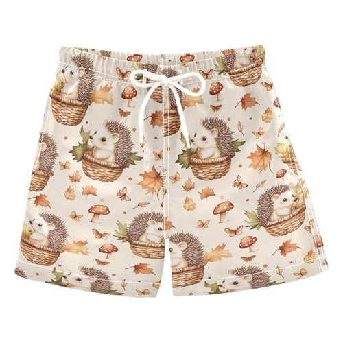 Boys Swim Trunks Quick Dry UPF 50+ Beach Board Shorts Kids Bathing Suits Swimsuit 2T Hedgehog Mushroom Leave