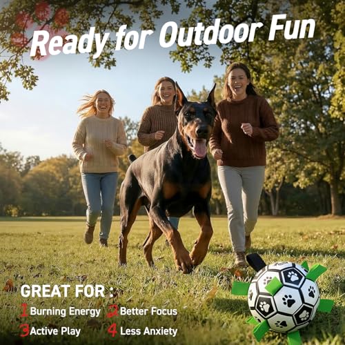 Image of QDAN 10 Inch Gaint Dog Soccer Ball with Straps, Durable Large Dogs Balls | Outdoor Big Dog Toys, Herding Balls for Large Dogs, Puppy Toy for >100 lbs Dogs, Interactive Training Soccer, Pool Water Toy