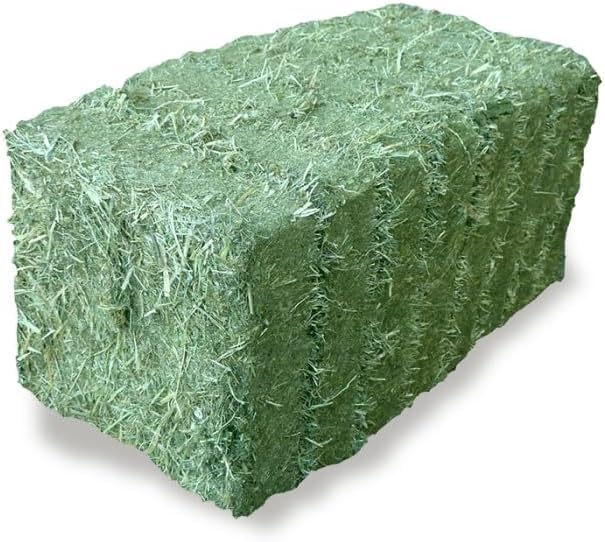 Fieno in balletta Fienopack per Cavalli - 24 kg