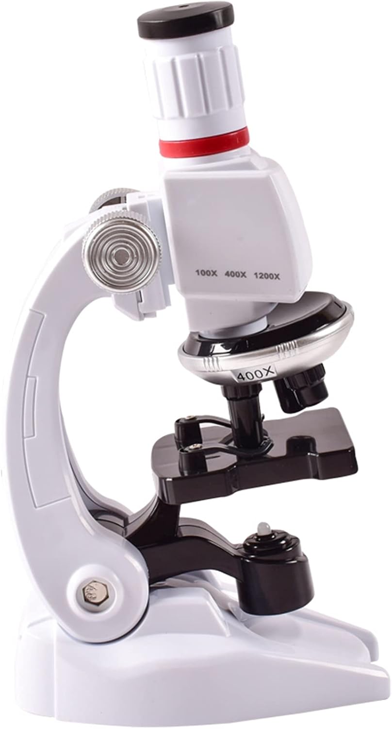 Monocular Optical Microscope Prepared Slides for Beginners Full Kit Accessories (Size : 12 specimens) (Optical Eyepiece 36 specimens)