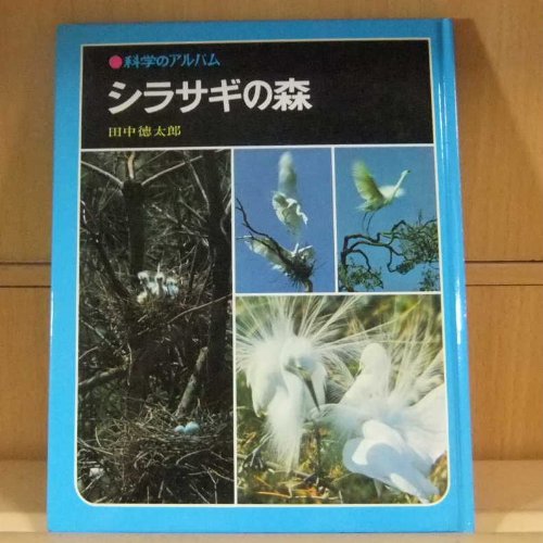 シラサギの森 (科学のアルバム 20)