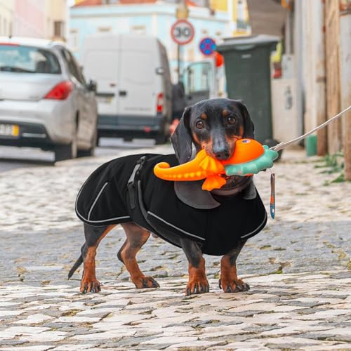 Hjyokuso Hundemantel Dackel, Winddichter Wasserdichter Wintermantel Für Dackel Hunde, Hundejacke Für Kleine Hunde XS, Hundemantel Winter Mit Bauchschutz Und Leinenloch, Winterjacken Für Hunde-Schwarz