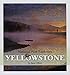 Yellowstone (National Park Explorers)