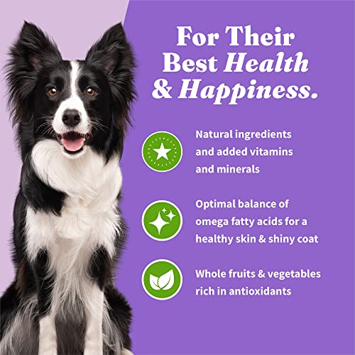 Halo Holistic Plant-Based Recipe With Superfoods, Complete Digestive Health, Vegan Dry Dog Food Bag, Adult Formula, 4-Lb Bag #TOP6