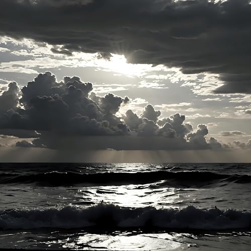 Les Infortunés De La Mer