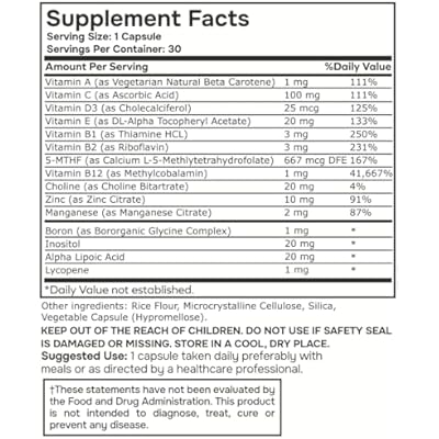 envitamin Methylated Multivitamin Multimineral Complex L Methylfolate 2 Pack