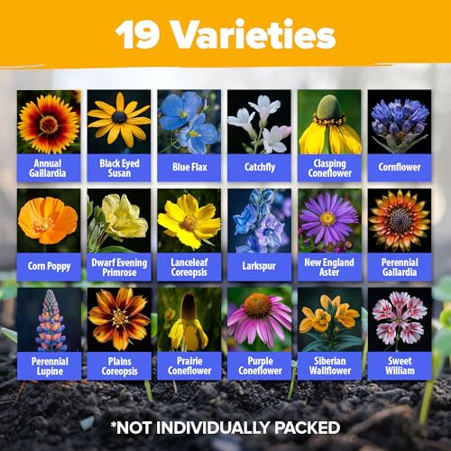 Image of HOME GROWN Midwest Wildflower Seeds Bulk Mix | 32,500+ Open Pollinated Perennial & Annual Flower Seed for Planting | 15 Varieties for Attracting Bees & Butterflies | 2 oz