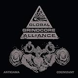 Antigama and Cognizant GGA Session Live