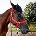 BIGANTTOW Adjustable Horse Halter Rope Halters, Equestrian Horse Riding Headcollar with Satin Hardware, Prevents Rubs, Adjustable Fit Black S