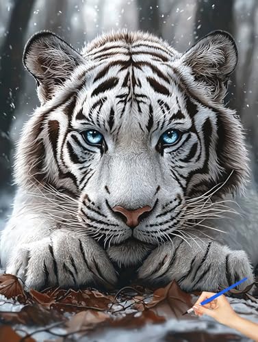 G  Paint by Numbers for Adults  hG DIYyCgoCio[ l̂߂̃NGCeBuȎ io[yCg  uV/ANyCgLbg q S H?? z[ ItBX Mt