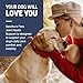 Sandhu's Pets Advanced Hip & Joint Supplement for Dogs, Glucosamine Chondroitin & MSM, Mobility Support Soft Chewable Tablets for All Breeds & Sizes, 120 Count