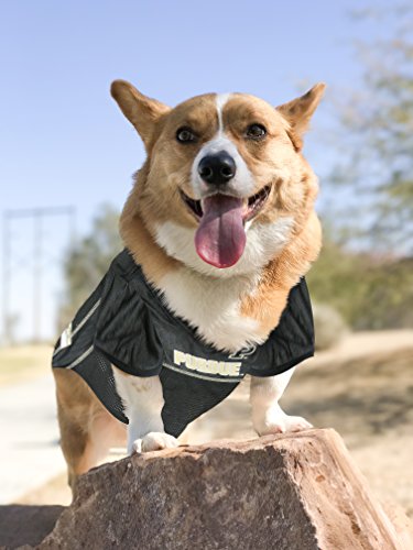 Image of Pets First Collegiate Purdue University Dog Mesh Jersey, X-Large