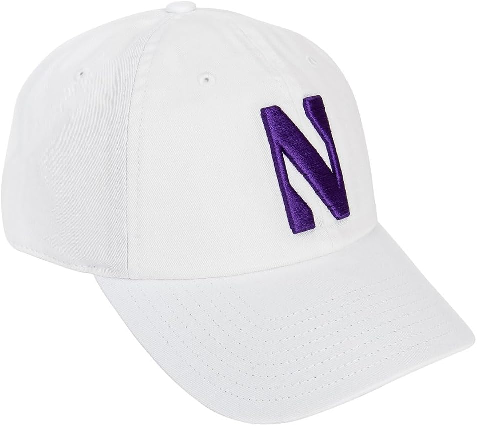 Desert Cactus Northwestern University Baseball Hat NU Wildcats Brimmed Embroidered Hats Cap Adjustable Cloth Strap Type A