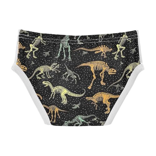 Dinosaur Skeleton Skull Toddler Boy's Underwear 2T 202c01172