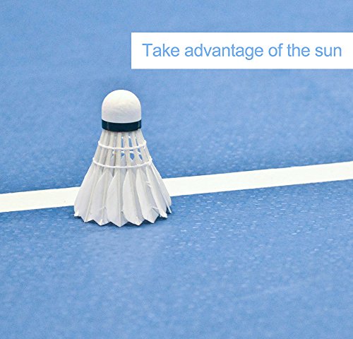 CHEN KEJIE OUDEバドミントンモデル300シャトル12個