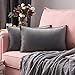 MIULEE Funda de Cojines para Sofá Funda de Almohadas de Terciopelo Suave Almohada Decorativa Moderna Funda Cojin para Sala de Estar Cama Silla Dormitorio 2 Piezas 40x60 cm Gris Claro